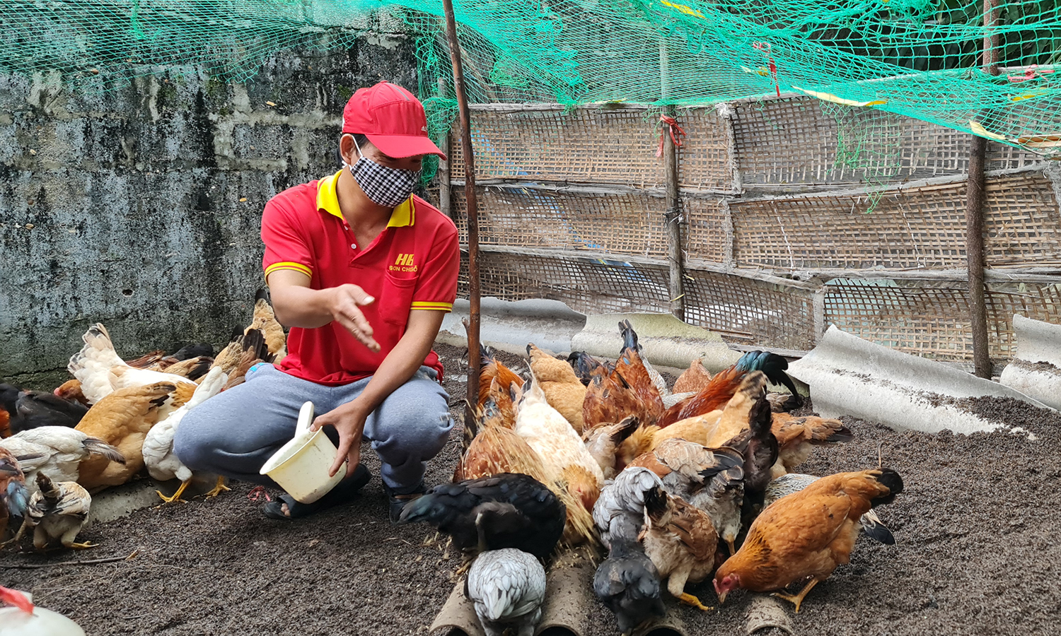 Ngoài bổ sung dinh dưỡng cho đàn gà, anh Nguyễn Văn Dũng, phường Ba Đồn (TX. Ba Đồn) còn thực hiện nghiêm túc các biện pháp phòng dịch.