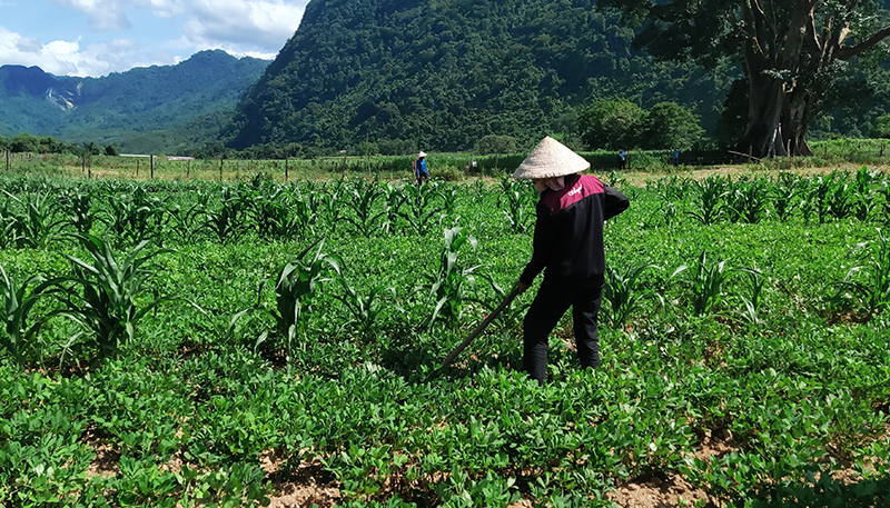 Năm 2021, tỷ lệ hộ nghèo trên địa bàn huyện Quảng Ninh giảm 0,71%.