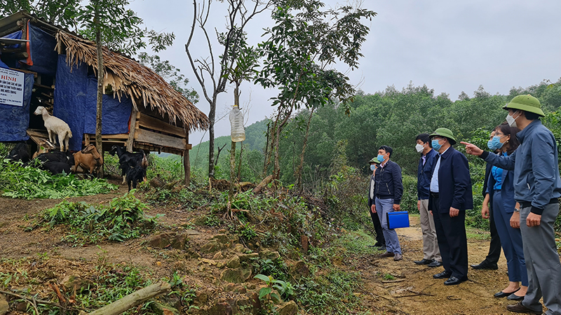 Lãnh đạo Sở Nông nghiệp-PTNT thăm mô hình nuôi dê sinh sản tại bản An Bai, xã Kim Thủy (Lệ Thủy).