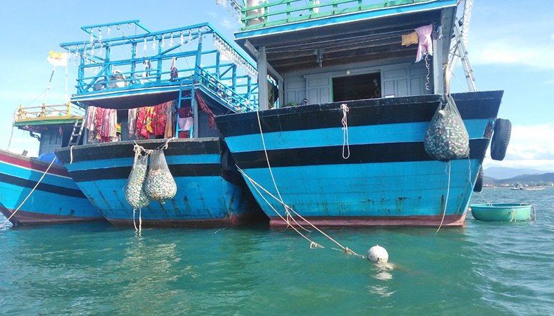 Đội tàu đánh bắt xa bờ xã Cảnh Dương với túi đựng rác thải ở phía sau đuôi tàu.