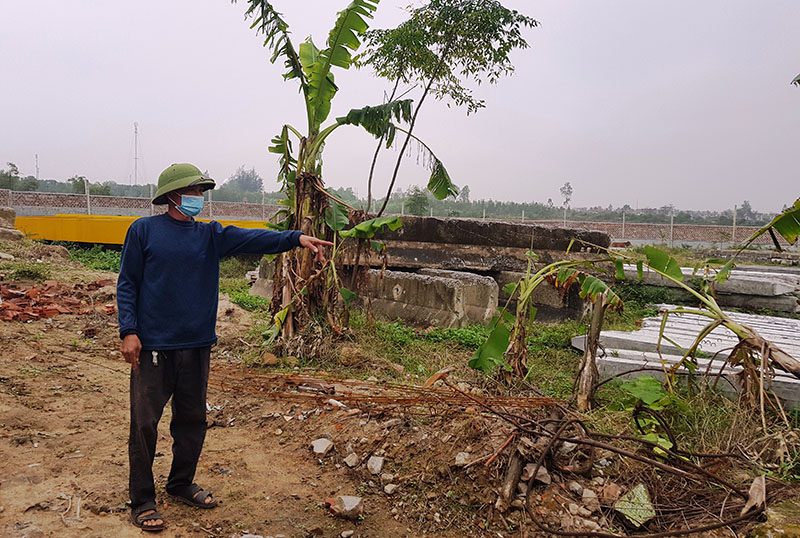 Hơn 800m2 đất trồng cây của gia đình ông Trần Tiến Hiệp bị người khác tự ý chặt phá.