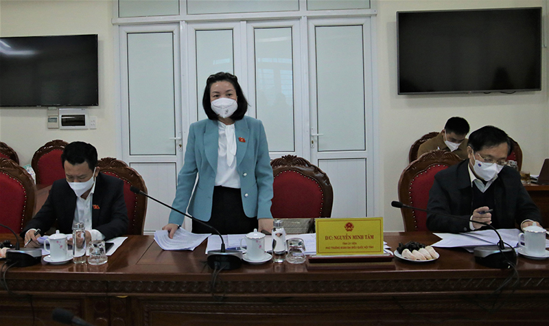 Đồng chí Phó Trưởng đoàn ĐBQH tỉnh, Trưởng đoàn giám sát Nguyễn Minh Tâm kết luận buổi giám sát.