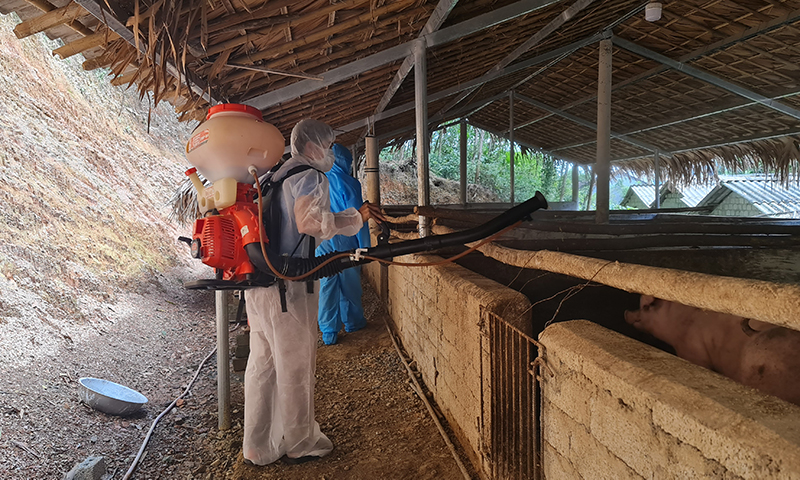 Công tác vệ sinh chuồng trại phòng, chống dịch bệnh được người chăn nuôi và chính quyền các đia phương thực hiện nghiêm túc.