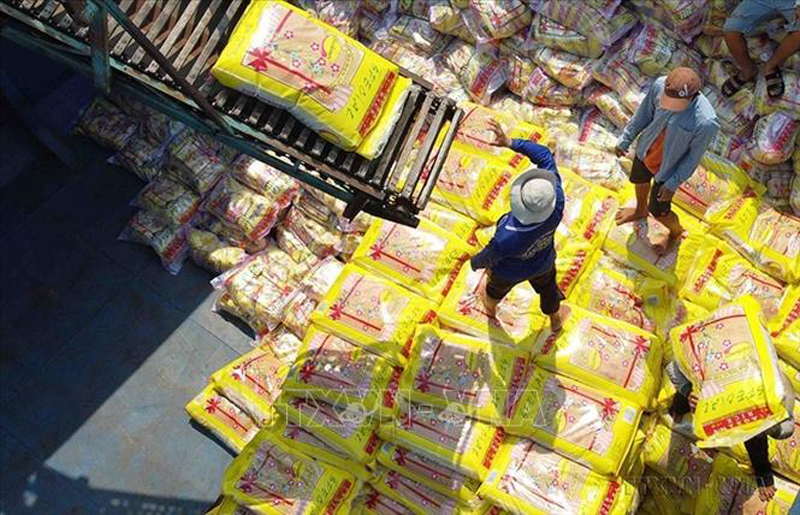 Vận chuyển gạo xuất khẩu tại nhà máy chế biến Tân Thạnh thuộc Tổng công ty Lương thực miền Nam – CTCP (Vinafood 2). Ảnh minh họa: Vũ Sinh/TTXVN