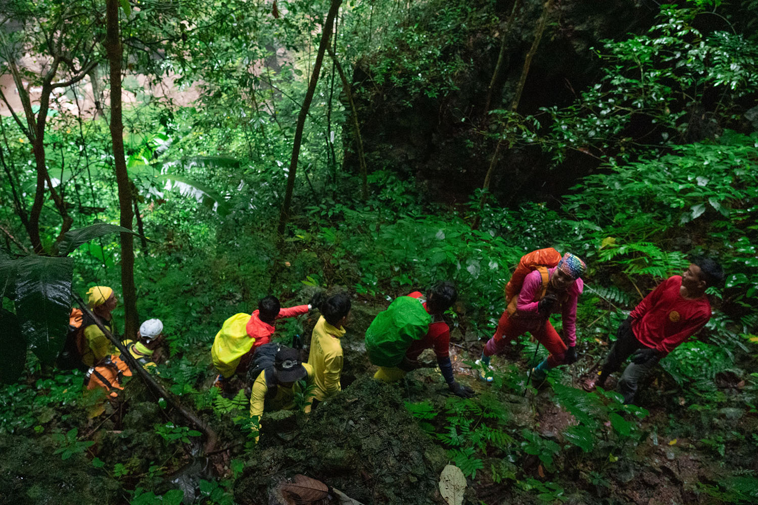 Những người làm du lịch hy vọng một ngày không xa, những đoàn khách sẽ ngược vào rừng, cùng nhìn ngắm cây lá chuyển màu. Trong ảnh: Du khách khám phá Vườn QG PN-KB. Ảnh: Jungle Boss
