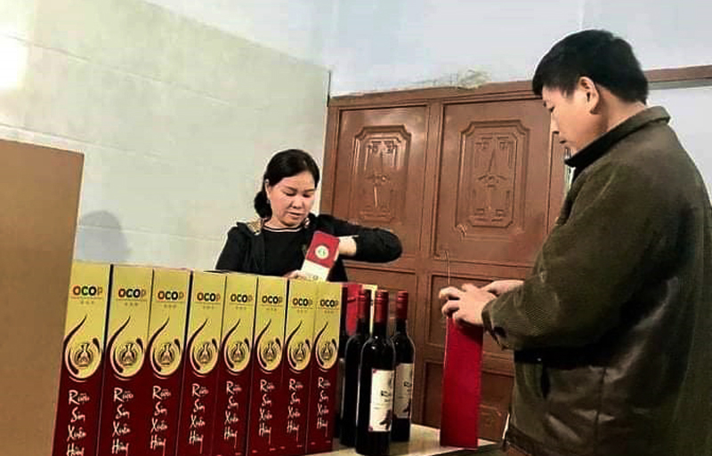 Hợp tác xã sản xuất-kinh doanh nấm sạch và rượu Xuân Hưng (Mỹ Trạch, Bố Trạch) được cấp văn bằng bảo hộ nhãn hiệu.
