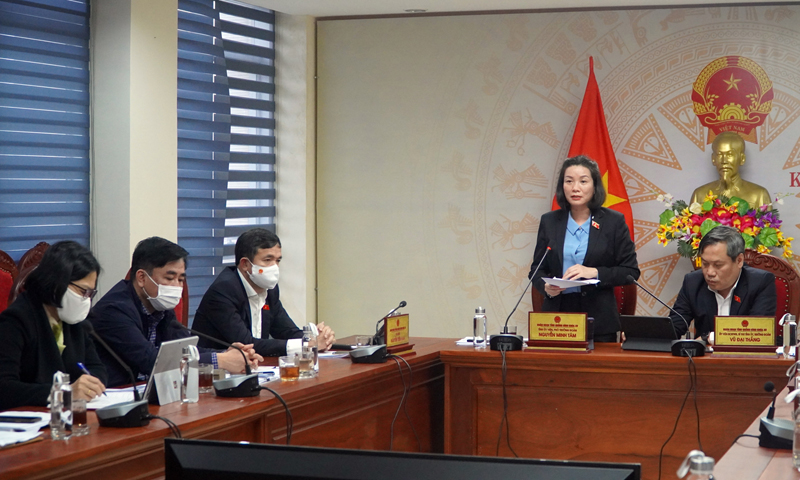 Phó trưởng đoàn ĐBQH tỉnh Quảng Bình Nguyễn Minh Tâm thảo phát biểu tại phiên thảo luận tại tổ