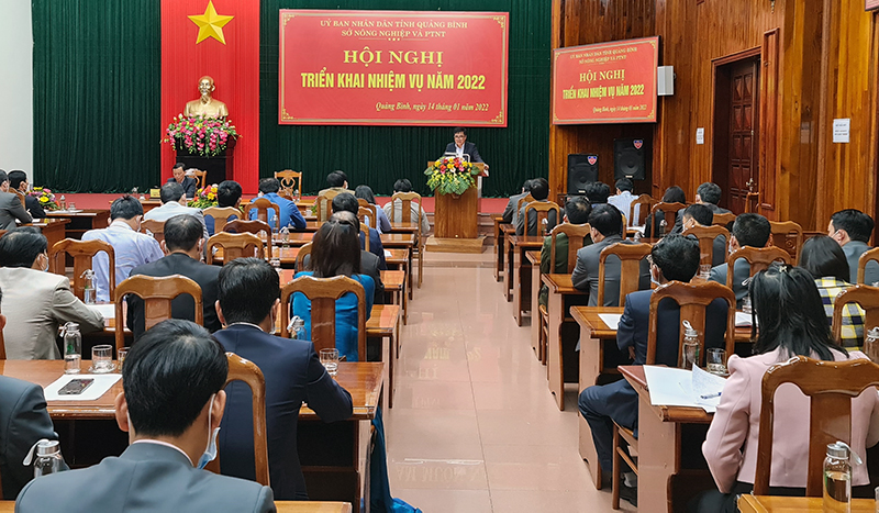 Đồng chí Phó Chủ tịch Thường trực UBND tỉnh Đoàn Ngọc Lâm phát biểu chỉ đạo tại hội nghị.