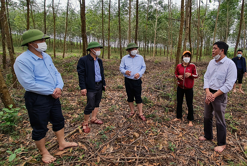 Đồng chí Phó Chủ tịch Thường trực UBND tỉnh kiểm tra tình hình sản xuất nông nghiệp tại huyện Quảng Ninh và Lệ Thủy