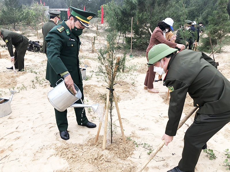 Đại tá Trịnh Thanh Bình, Chỉ huy trưởng tham gia trồng cây tại bờ biển xã Quang Phú, Thành phố Đồng Hới, tỉnh Quảng Bình