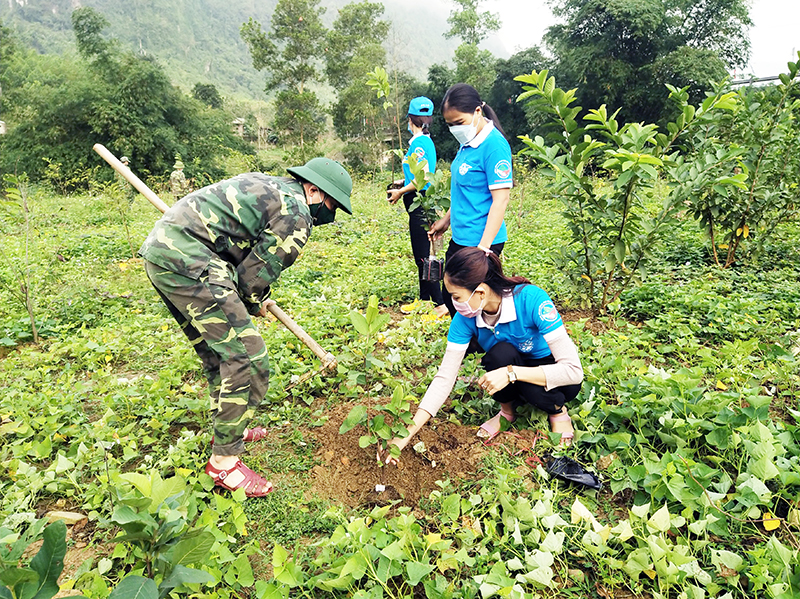 Đồn Biên phòng Làng Mô phối hợp với Hội phụ nữ xã Trường Sơn trồng cây ổi cho hội viên.