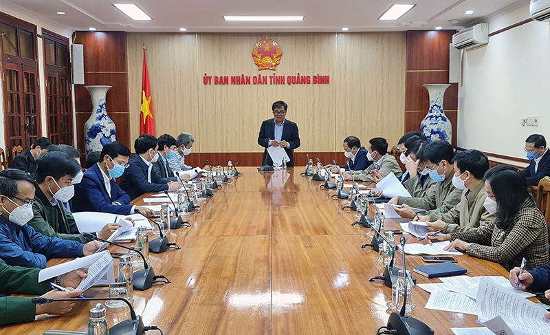 Đồng chí Phó Chủ tịch Thường trực UBND tỉnh Đoàn Ngọc Lâm kết luận cuộc họp.