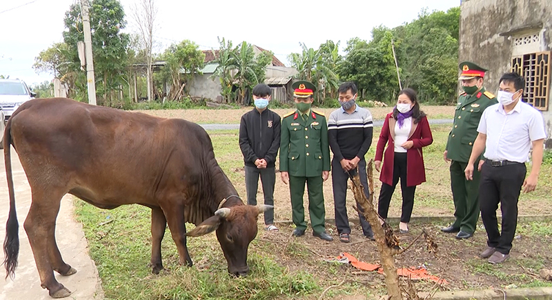  Đại diện Ban Chỉ huy Quân sự huyện Bố Trạch và Công ty TNHH Thanh Phương trao hỗ trợ bò giống cho gia đình Dương Quang Việt (thôn Võ Thuận 3, xã Tây Trạch).