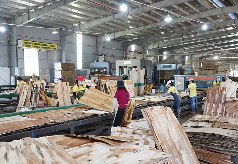 Nhà máy ván ép Thăng Long đang sản xuất các đơn hàng còn tồn đọng từ năm 2021.