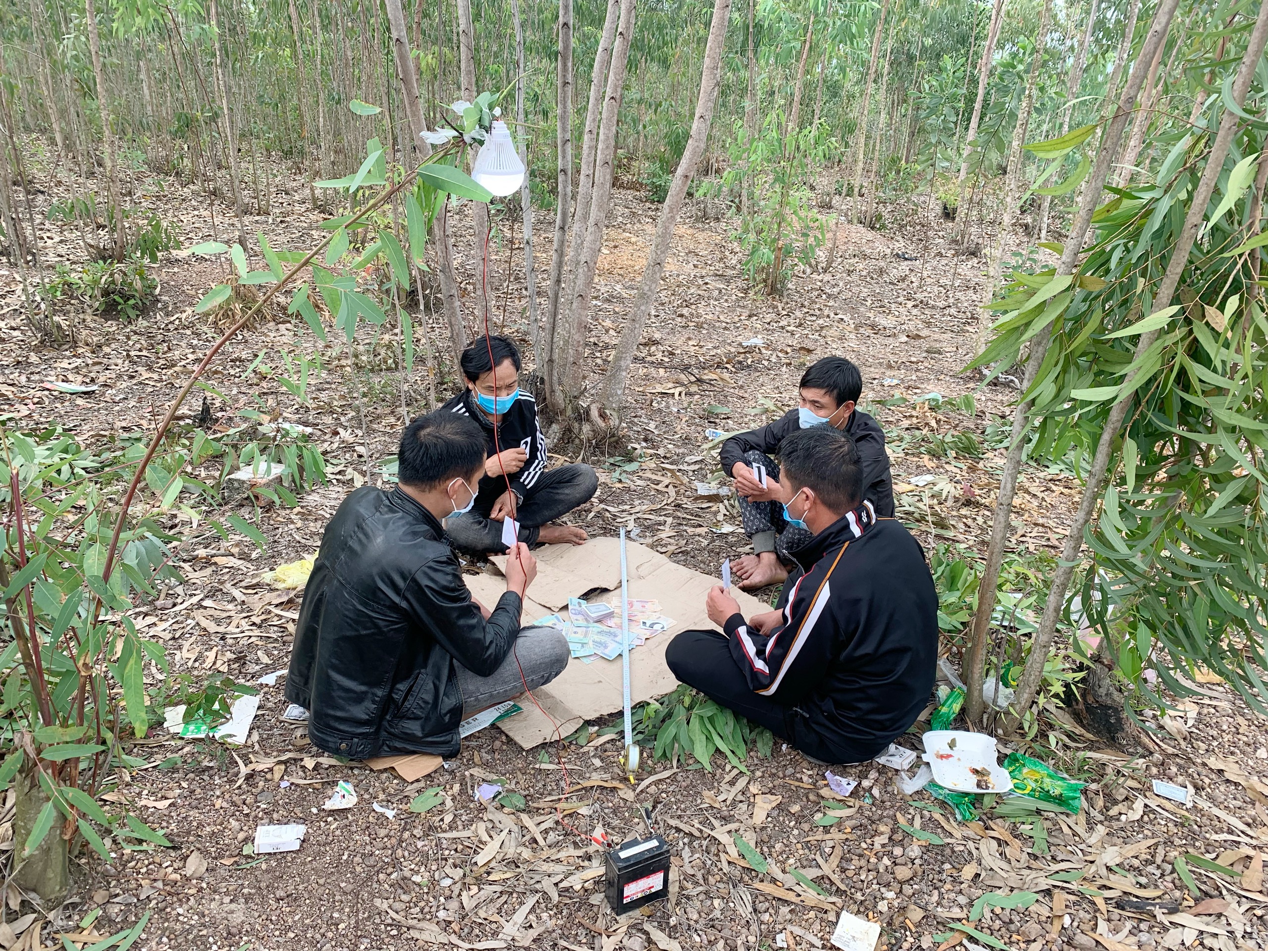 Các đội tượng bị bắt quả tang khi tổ chức đánh bạc ở rừng  tràm.