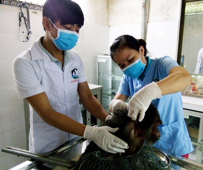 Chăm sóc động vật tại trung tâm Cứu hộ, Bảo tồn và Phát triển sinh vật, VQG Phong Nha- Kẻ Bàng.
