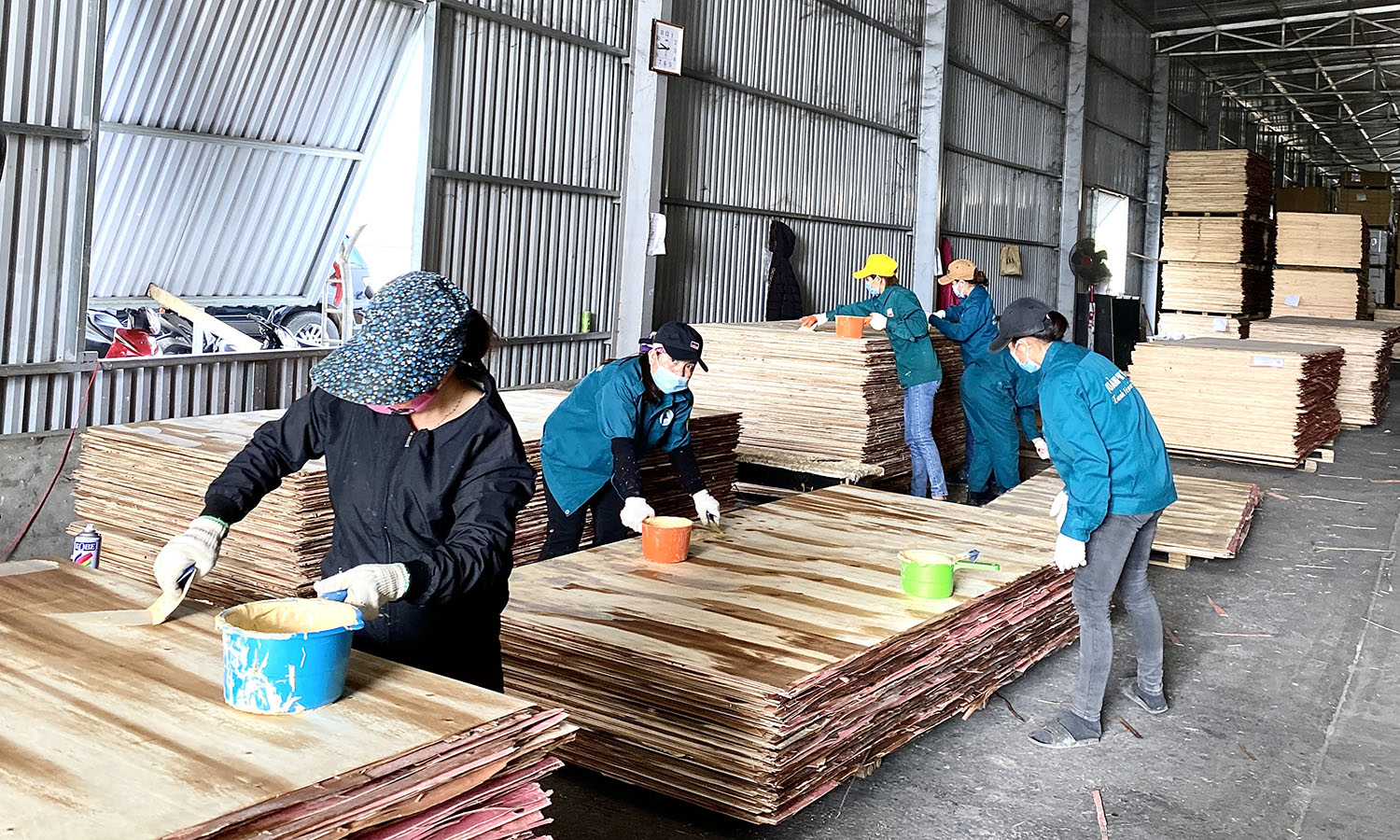 Mặt hàng gỗ ván ép được các doanh nghiệp đẩy mạnh sản xuất ngay từ những ngày đầu năm mới.
