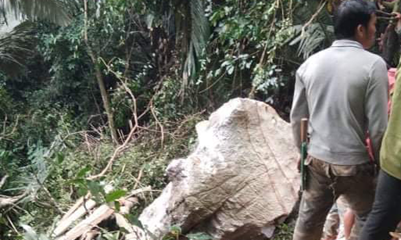 Minh Hóa: Người dân đi rừng bị đá rơi gây tử vong