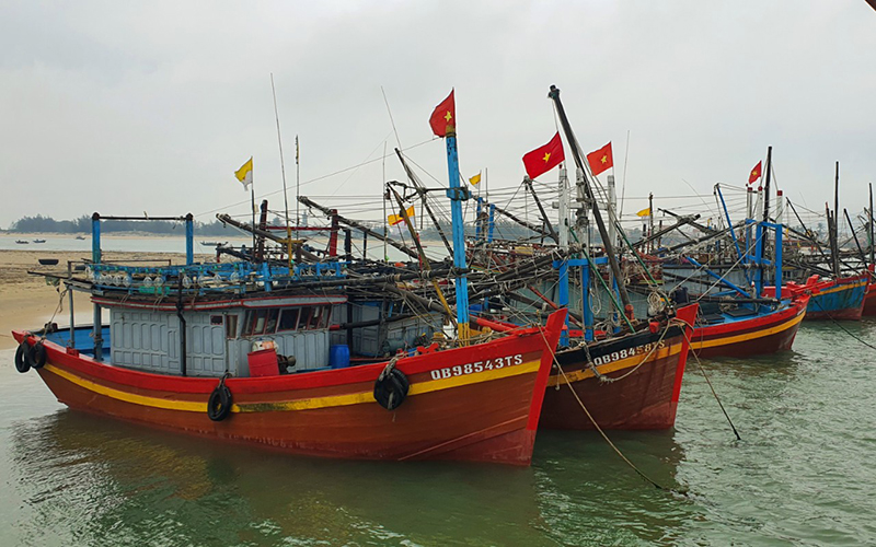 Ý thức của ngư dân về chống khai thác IUU ngày càng được nâng cao, lượt tàu cá vi phạm vùng biển nước ngoài giảm sâu