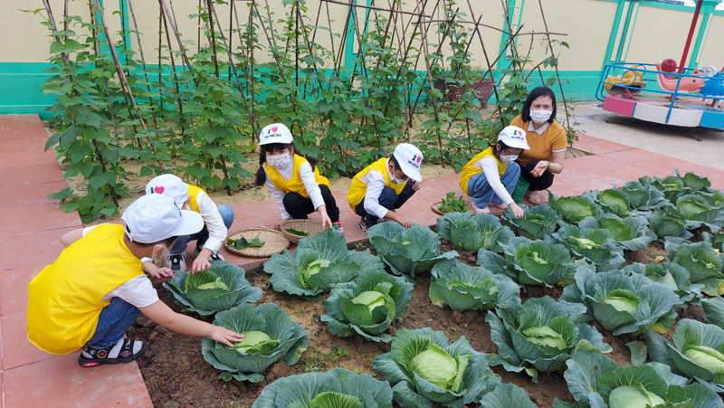 Trẻ vô cùng thích thú với hoạt động làm vườn trong các giờ học ngoại khóa.