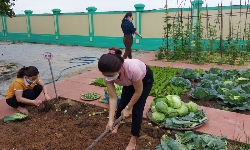 GV Trường mầm non Phú  Hải  tranh thủ thời gian để chăm sóc, phát triển mô hình  " Vườn rau của bé "