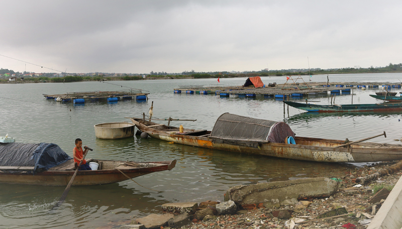 Huyện Quảng Ninh khuyến khích mở mở rộng các đối tượng nuôi mới có giá trị kinh tế như: Cá lồng, hàu trên cửa sông. 