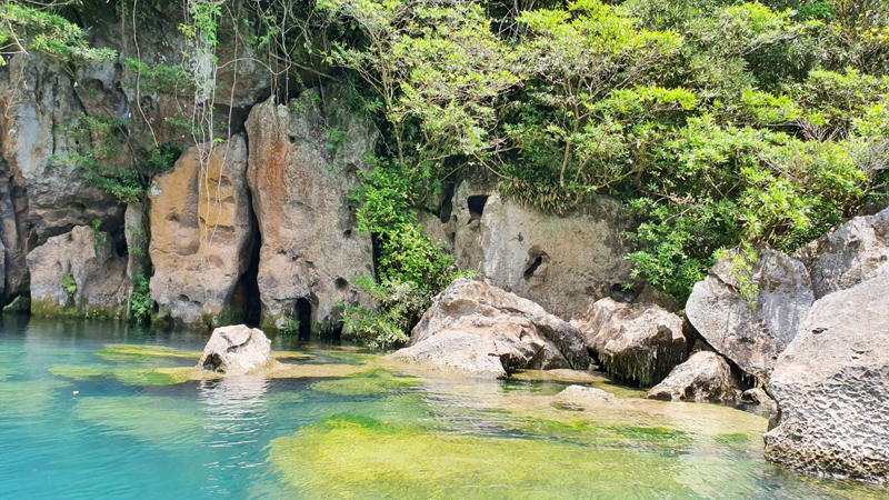 Non nước, thiên nhiên kỳ vĩ của Di sản thiên nhiên thế giới Vườn quốc gia Phong Nha-Kẻ Bàng luôn là điểm đến hấp dẫn du khách trong nước và quốc tế.