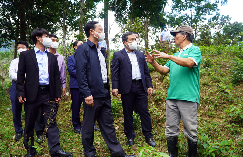 Đồng chí Bí thư Tỉnh ủy Vũ Đại Thắng thăm mô hình trồng rừng của ông Đinh Tiến Phương.
