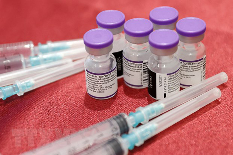 Vaccine phòng COVID-19 của Pfizer/BioNTech. (Ảnh: AFP/TTXVN)