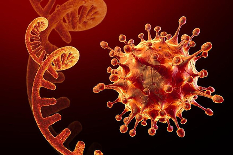 Thế giới và Việt Nam đã ghi nhận các trường hợp tái nhiễm với các chủng virus SARS-CoV-2 khác nhau. Ở chủng Delta, tỷ lệ tái nhiễm là 1% và chủng Omicron thì số ca tái nhiễm cao hơn.