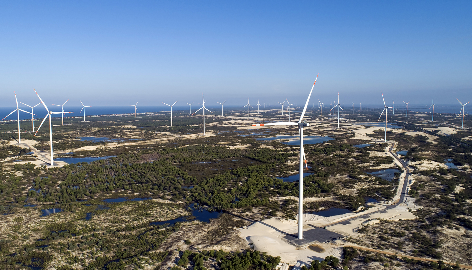 Dự án Cụm trang trại điện gió B&T hoạt động hiệu quả, mang lại nguồn thu ngân sách lớn