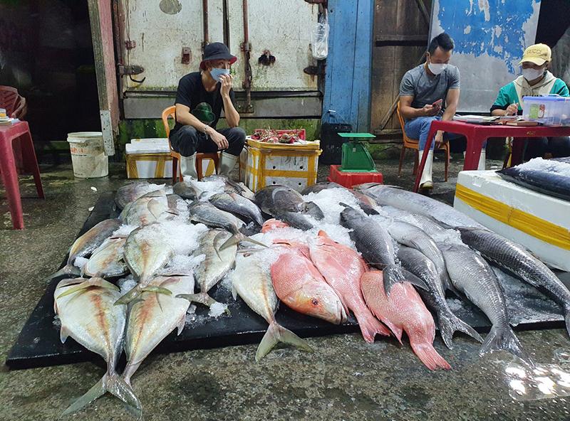 Rất nhiều hải sản được bày bán ở chợ đêm.