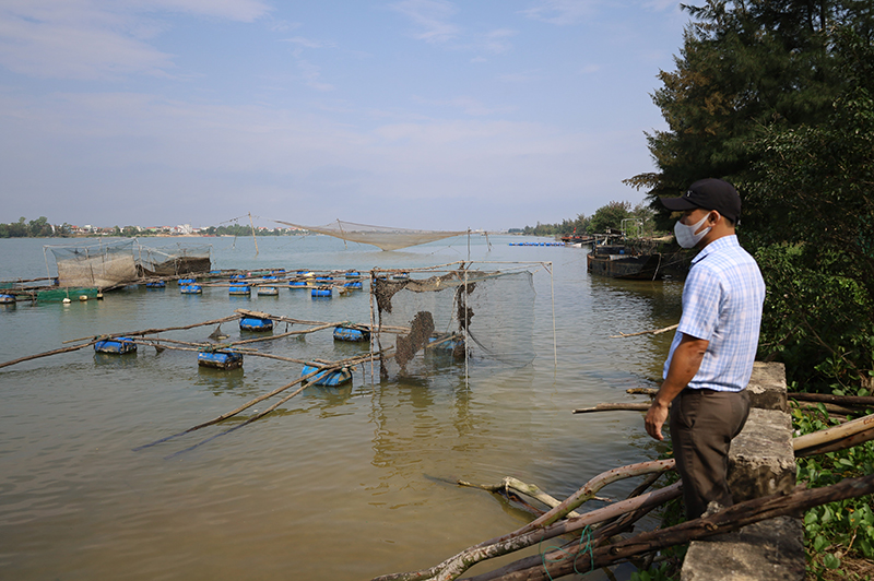 Nuôi cá lồng ven sông, một trong những thế mạnh kinh tế của người dân Phú Cát.
