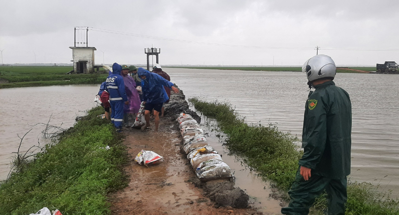Người dân huyện Quảng Ninh đang khẩn trương gia cố đê bao, hạn chế nước vào ruộng.