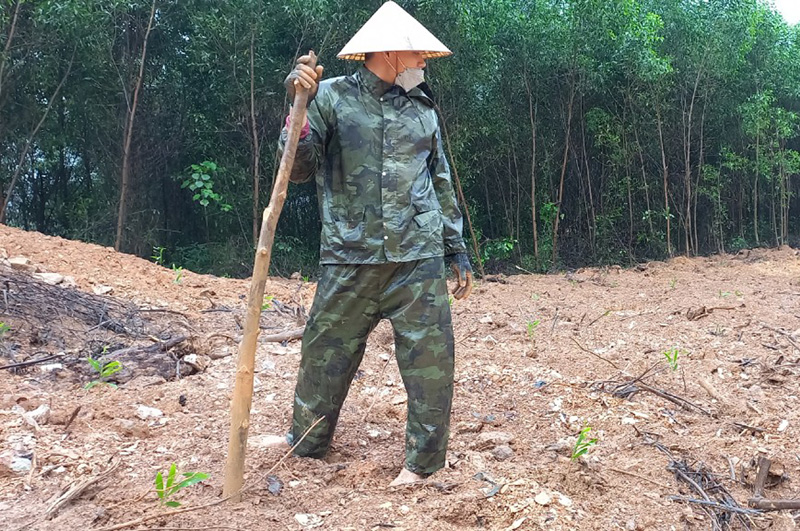 Ông Võ Hoàng Quang đã hoàn thành việc san gạt mặt bằng và trồng cây theo quyết định xử phạt vi phạm hành chính của Chủ tịch UBND huyện Lệ Thủy
