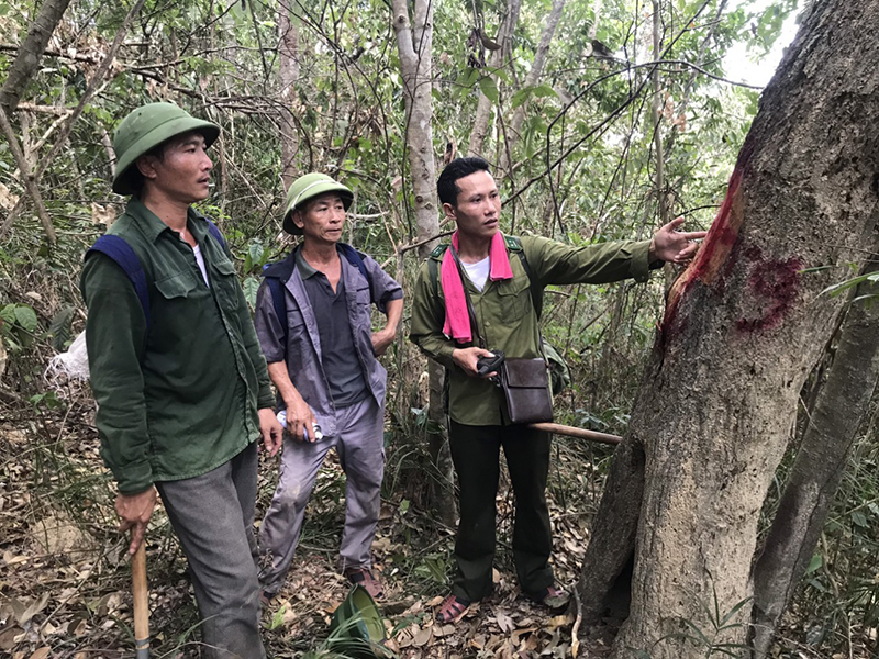 Công tác tuần tra, kiểm tra rừng được lực lượng Kiểm lâm thực hiện thường xuyên, nghiêm túc.