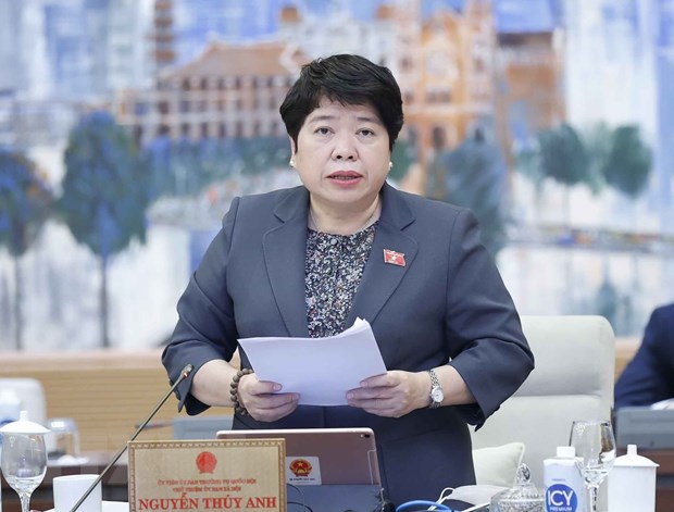 Chủ nhiệm Ủy ban Xã hội của Quốc hội Nguyễn Thúy Anh trình bày báo cáo thẩm tra. (Ảnh: Doãn Tấn/TTXVN)