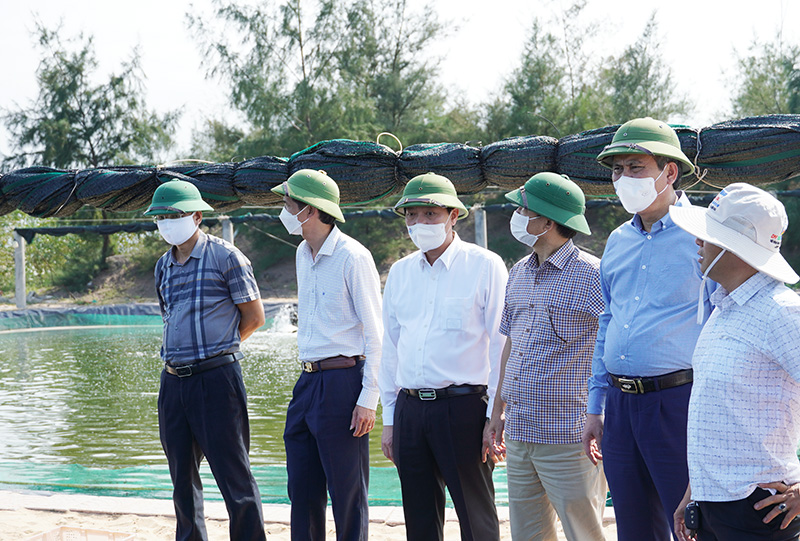 Đồng chí Chủ tịch UBND tỉnh Trần Thắng kiểm tra mô hình nuôi ốc hương ở trang trại của anh Nguyễn Minh Tám, thôn 1, xã Trung Trạch.
