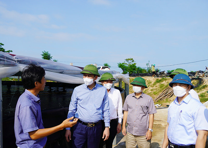 Đồng chí Chủ tịch UBND tỉnh Trần Thắng lưu ý các chủ trang trại nuôi trồng thủy sản phải thực hiện tốt công tác bảo vệ môi trường và an toàn thực phẩm.ường Thịnh, thôn 2, xã Hạ Trạch.