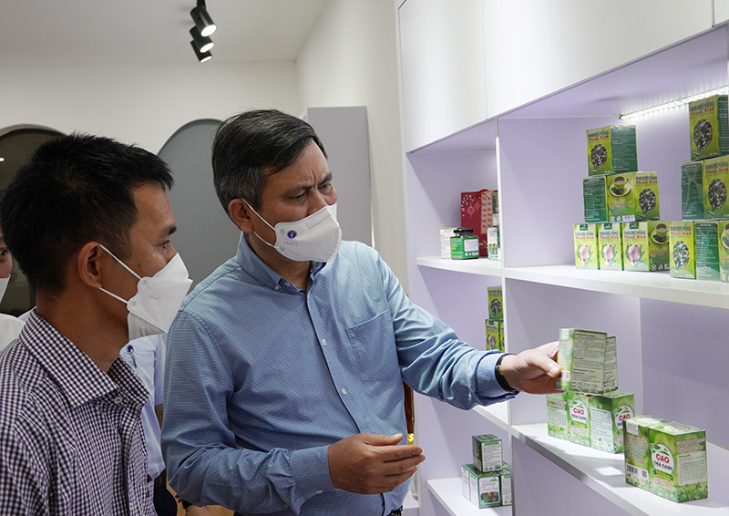 Đồng chí Chủ tịch UBND tỉnh Trần Thắng tham quan các sản phẩm của HTX trồng cây dược liệu sạch và kinh doanh nông nghiệp Cự Nẫm.