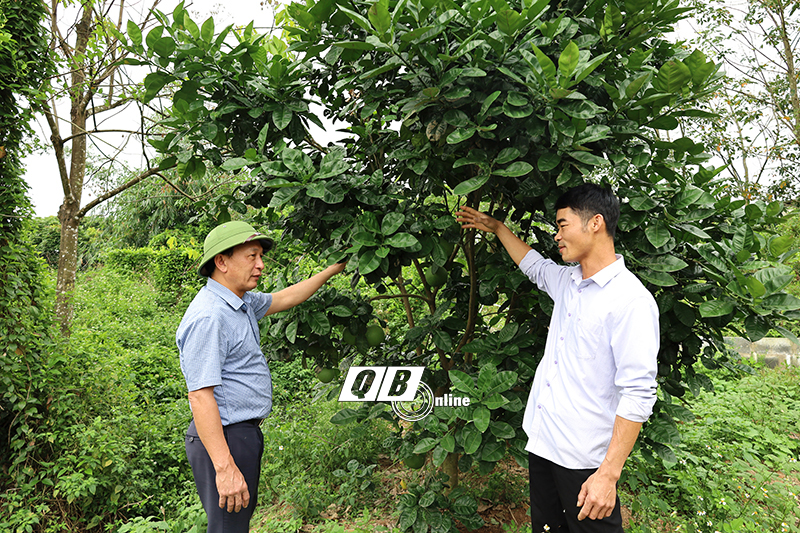 Đồng chí Phó Bí thư Thường trực Tỉnh ủy Trần Hải Châu thăm mô hình trang trại của anh Trần Văn Nhân.