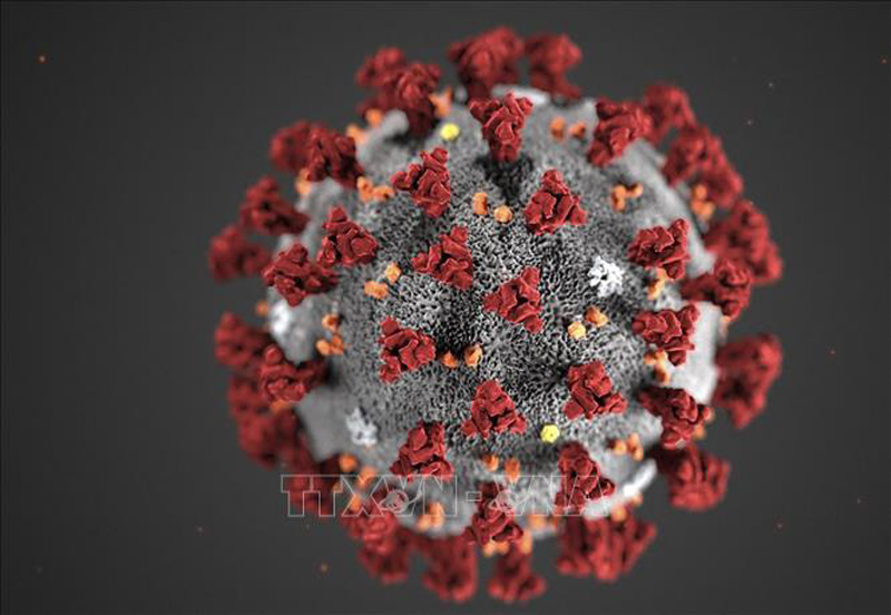 Hình ảnh virus SARS-CoV-2 do Trung tâm kiểm soát và phòng ngừa dịch bệnh Mỹ đăng phát ngày 3/2/2020. Ảnh: AFP/TTXVN