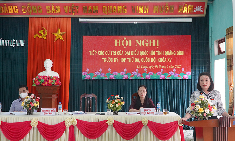 Phó trưởng đoàn ĐBQH Nguyễn Minh Tâm phát biểu tại hội nghị.