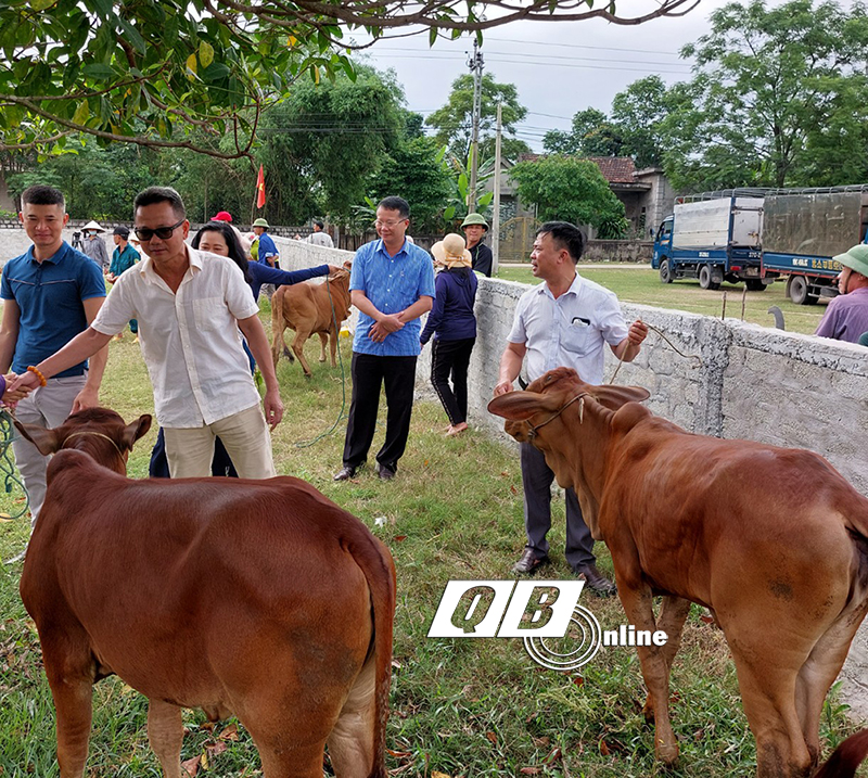  Đại diện lãnh đạo UBND huyện Bố Trạch và Công ty cổ phần đầu tư DIA Hà Nội trao tặng bò giống cho bà con xã Mỹ Trạch (Bố Trạch).