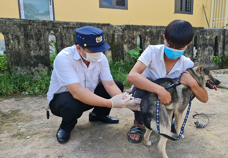 Cán bộ thú y tiêm vắc-xin Dại cho đàn chó trên địa bàn xã Đồng Trạch (Bố Trạch).