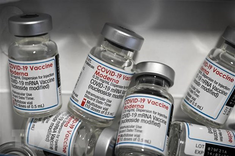 Vaccine ngừa COVID-19 Moderna. (Ảnh: AFP/TTXVN)