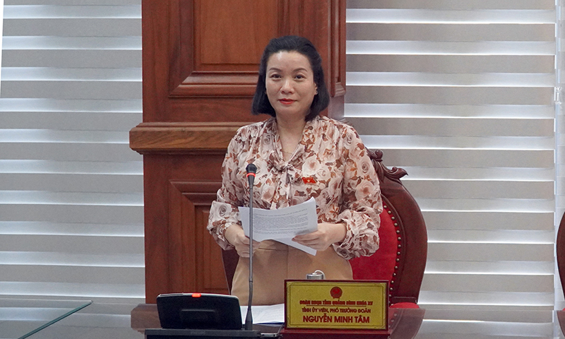 Đồng chí Phó trưởng đoàn ĐBQH tỉnh Nguyễn Minh Tâm trình bày dự kiến nội dung, chương trình kỳ họp 