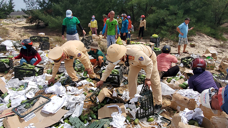 Lực lượng chức năng và người dân địa phương chung tay hỗ trợ tài xế gom nhặt số lượng trái cây đổ xuống đường sau tai nạn. 