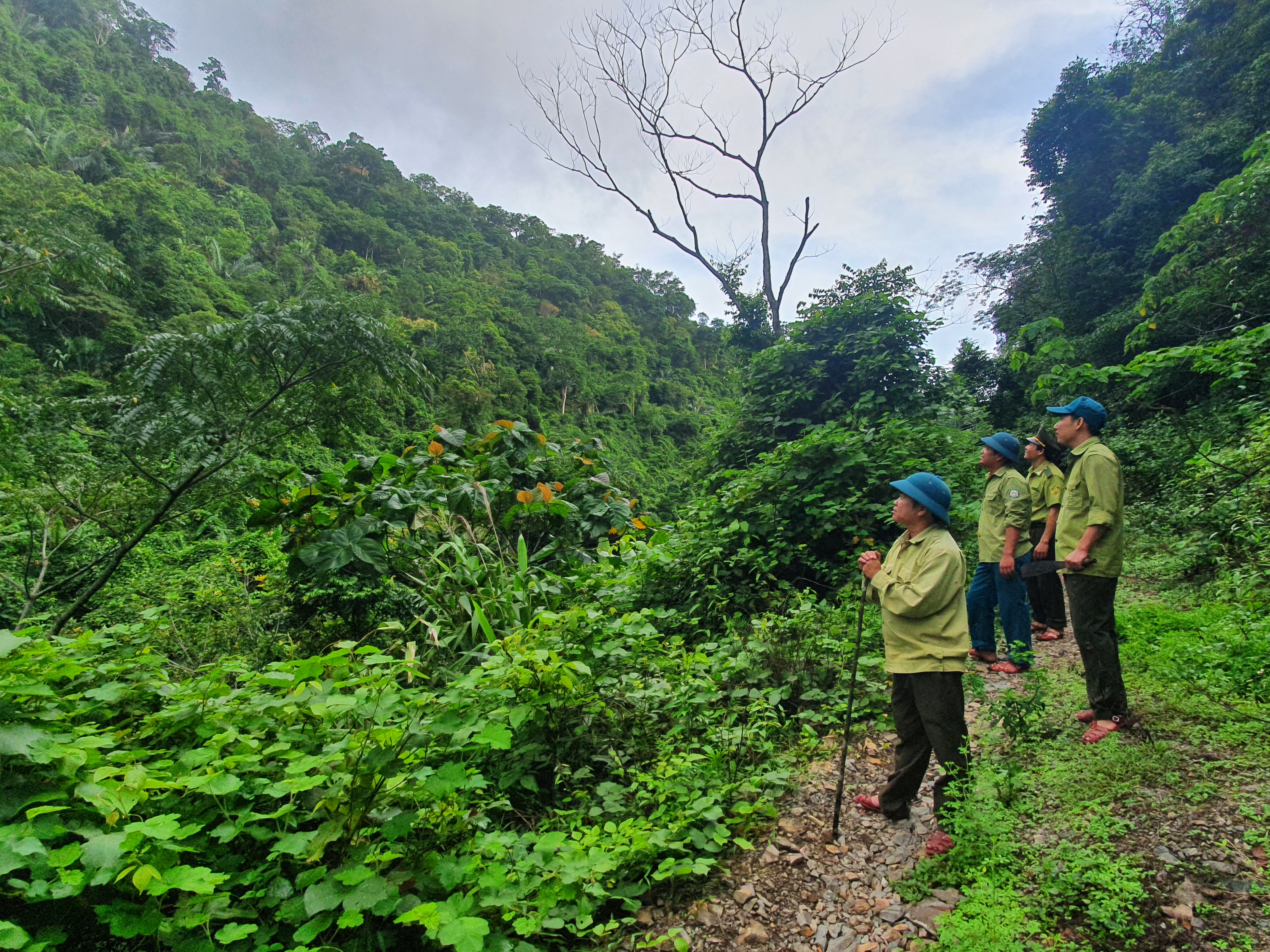 Tuần tra bảo vệ rừng ở khu dự trữ thiên nhiên Động Châu-khe Nước Trong.