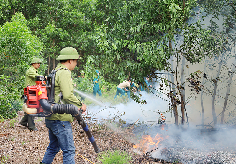 TP. Đồng Hới: Diễn tập chữa cháy rừng